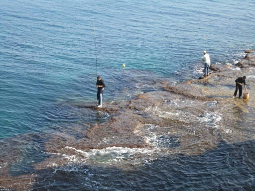 Какую рыбу и когда ловить на Черном море?