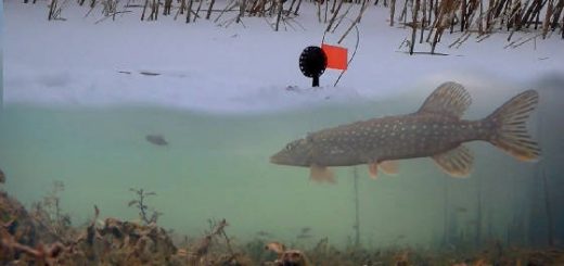 Рыбалка на Жерлицы с Подводными камерами