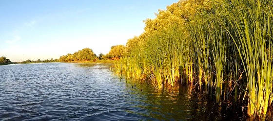 Рыбалка на жмых летом в Астрахани