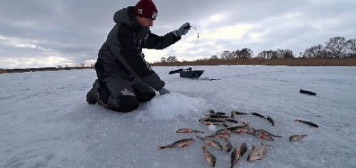 Зимняя Рыбалка на Волге 2021