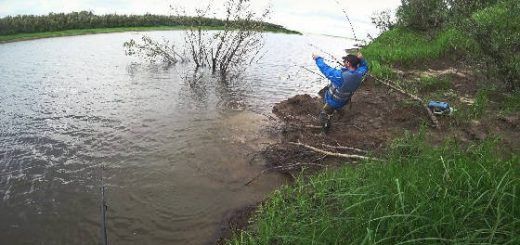 Рыбалка на спиннинг на севере: Протока реки Печора