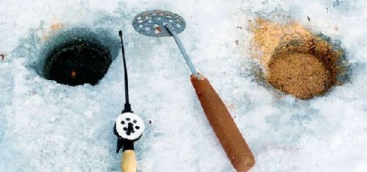 Прикормка для зимней рыбалки