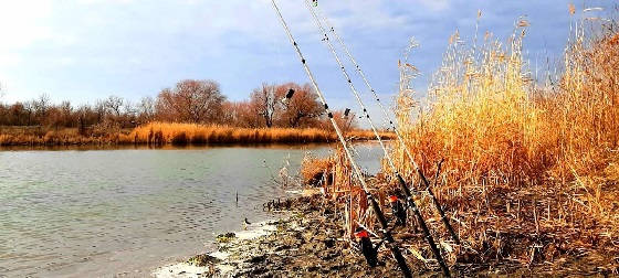 РЫБАЛКА на КОРМАКИ в ФЕВРАЛЕ на РЕКЕ