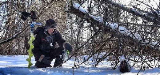 ТАЁЖНЫЙ РУЧЕЙ В СИБИРСКОЙ ГЛУШИ