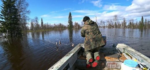 Рыбалка на сети в Республике Коми