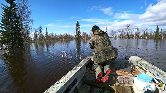 Рыбалка на сети в Республике Коми