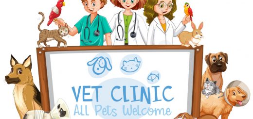 vet clinic near me