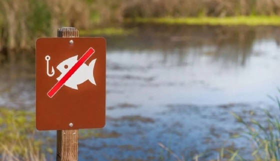 Рыболовный запрет