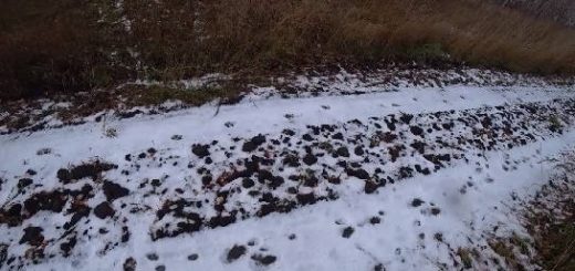 Охота на зайца в Беларуси 2021