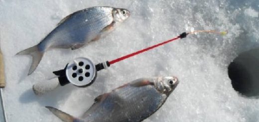Рыбалка на зимнего леща
