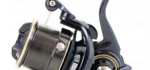 Daiwa Castizm Feeder 25 QD