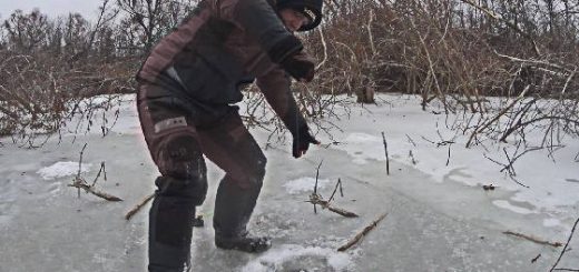 Под лункой ЗАТОПЛЕННЫЙ ЛЕС