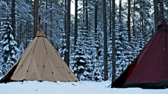 ШВЕДСКАЯ ПАЛАТКА TENTIPI ONYX 9