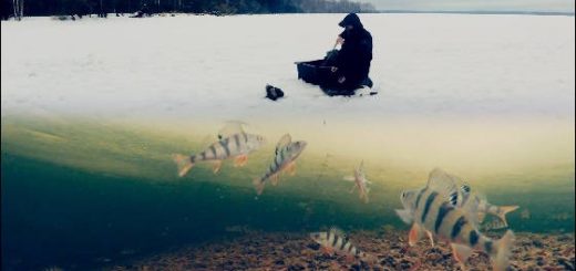 Зимняя рыбалка на балансир и мормышку