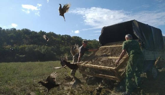 Крым: Севостопольское охотхозяйство