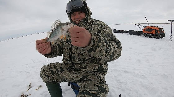 Ловля Окуня со Льда на озере Сартлан