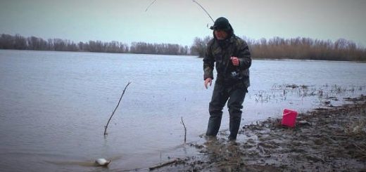 Рыбалка по первой открытой воде