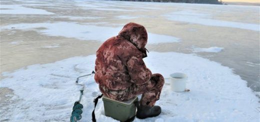 Вечерний жор полосатого хищника