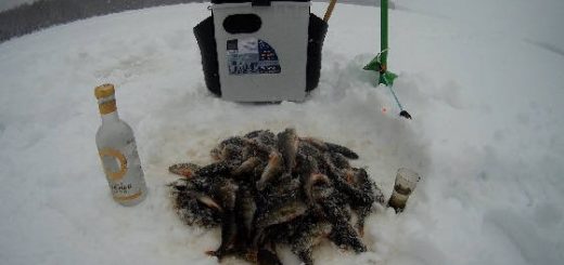 Удачная рыбалка на отличном Карельском озере