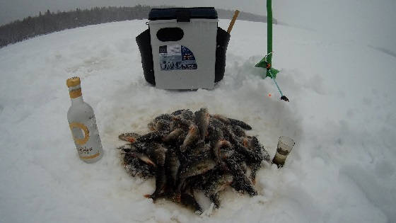 Удачная рыбалка на отличном Карельском озере