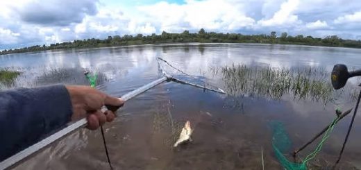 Рыбалка на подъеме воды