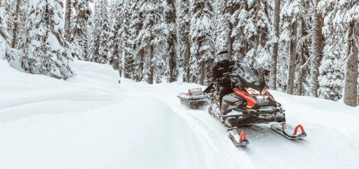 снегоход BRP Ski Doo Skandic