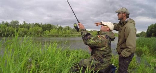 Весенняя ловля ЛЕЩА на ФИДЕР: Река Неман
