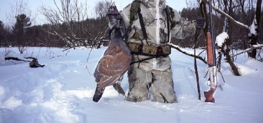 Зимняя охота в Себяне в - 50°