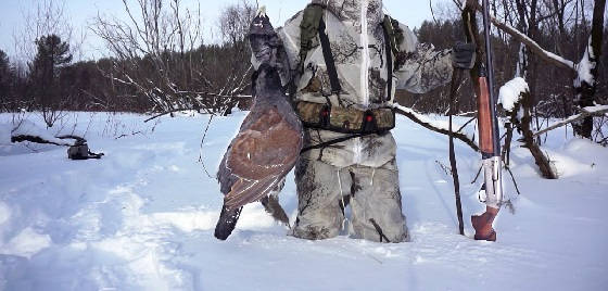 Зимняя охота в Себяне в - 50°