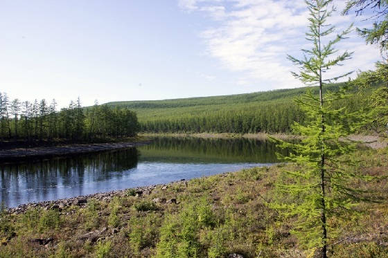 РЫБАЛКА В ГЛУШИ