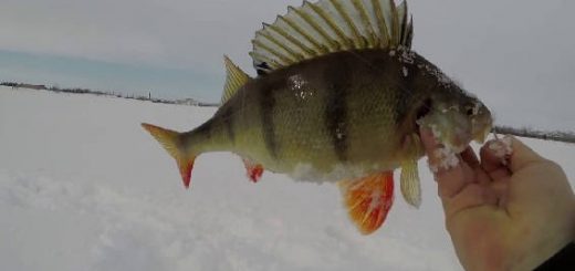 Зимняя рыбалка в тундре