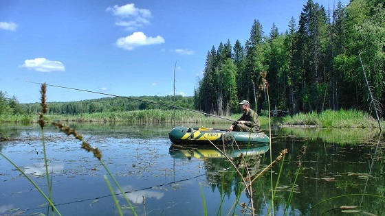 окунёвое место на озере 