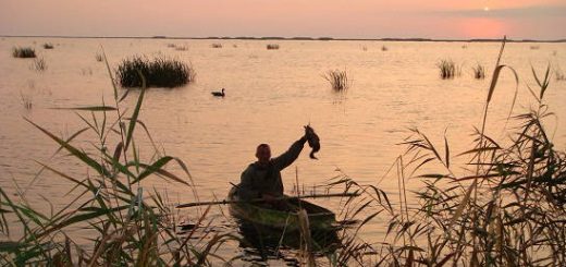 Охота на утку: Астраханский экстрим