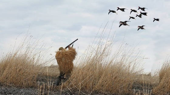 Сколько стоит стать охотником