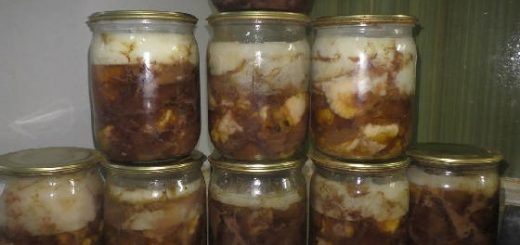 Рецепт домашней натуральной тушёнки из дикого кабана