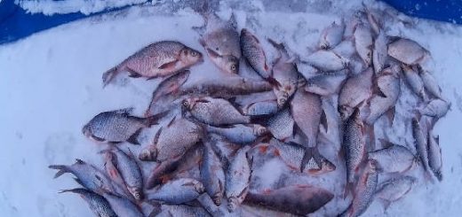 Зимняя рыбалка на Яузском вдхр