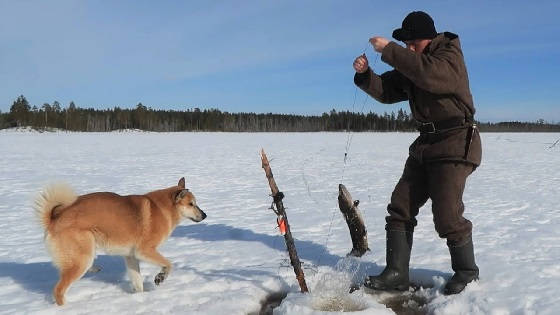 Ловля щуки на карельском озере со льда