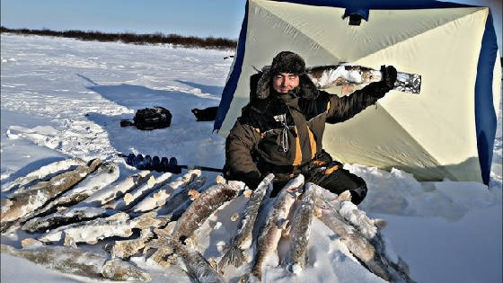 рыбалка в ТУНДРЕ на МНОГОРАЗОВЫХ ЖИВЦОВ