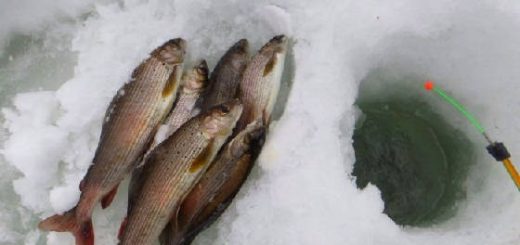 Зимняя рыбалка: Хариус