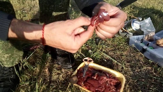 насадка из печени на сома