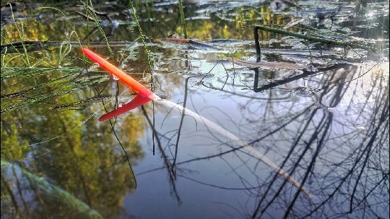 РЫБАЛКА НА ПОПЛАВОК НА ТАЁЖНОМ ОЗЕРЕ