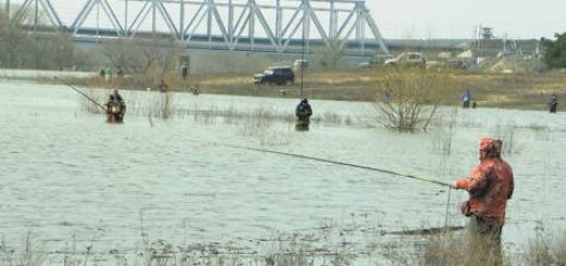 Рыбалка во время половодья