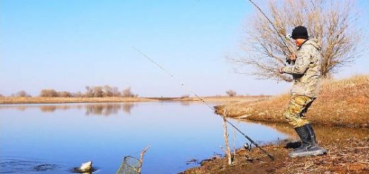 Весенняя Рыбалка по Открытой Воде