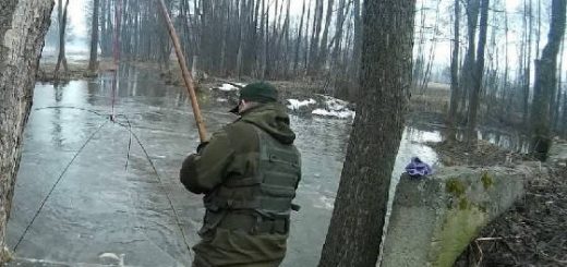 Караси и щуки на паук подъёмник