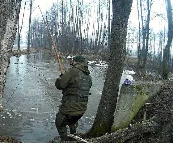 Караси и щуки на паук подъёмник