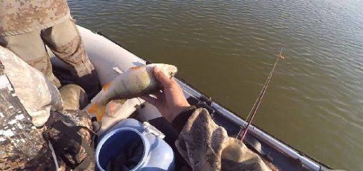 Рыбалка Озеро Чаны