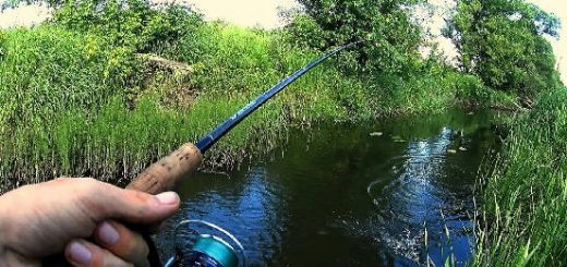 Рыбалка в лесном ручье