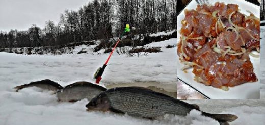 ЛОВЛЯ ХАРИУСА ЛЕНИВЫМ СПОСОБОМ