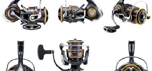 DAIWA 21'Caldia LT