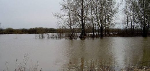 Рыбалка ранней весной В ПОЛОВОДЬЕ